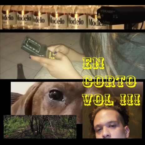 perdí