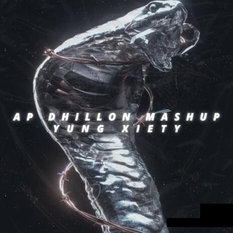 Ap Dhillon Mashup | Boomplay Music