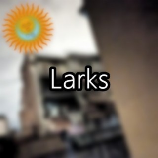 Larks