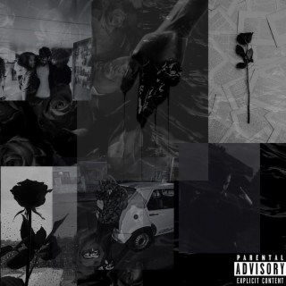 Blxck Roses, Pt. 2