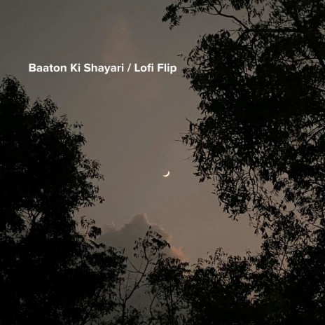 Baaton Ki Shayari (Lofi Flip) ft. Rohiiieet