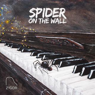 Spider On The Wall