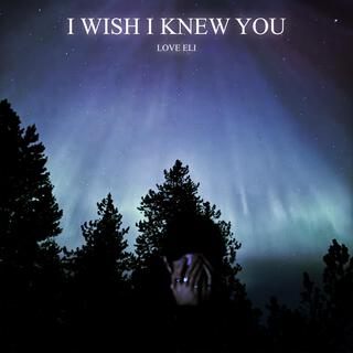 I WISH I KNEW YOU lyrics | Boomplay Music