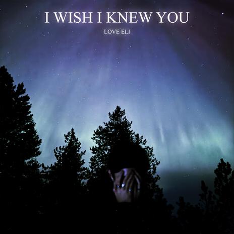 I WISH I KNEW YOU | Boomplay Music