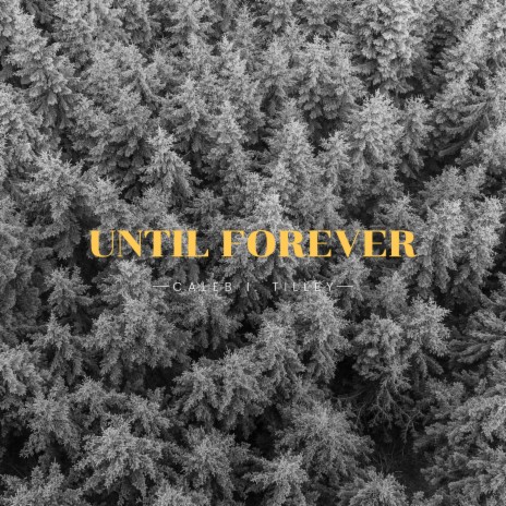 Until Forever | Boomplay Music