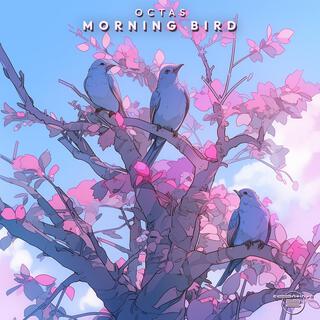 Morning Bird