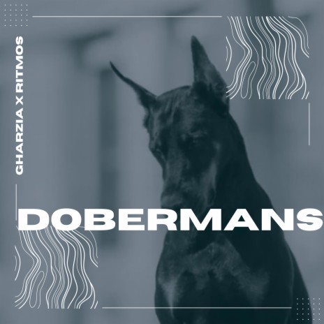 Dobermans ft. tercoh | Boomplay Music