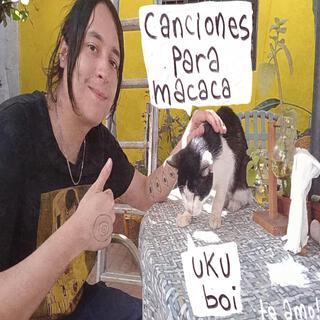 canciones para macaca