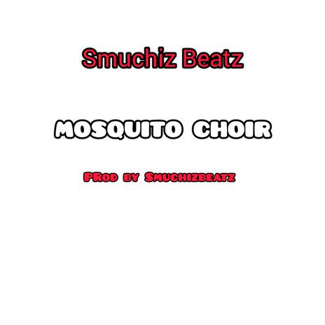 Mosquito Choir | Boomplay Music