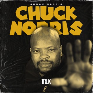 CHUCK NORRIS lyrics | Boomplay Music