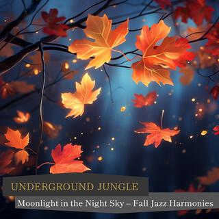 Moonlight in the Night Sky – Fall Jazz Harmonies