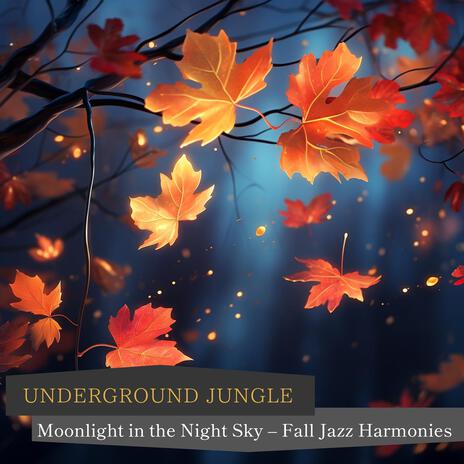 Sleep Serenade Under the Stars