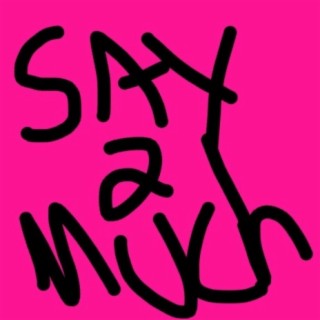 Say 2 Much