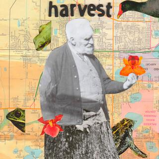 Harvest