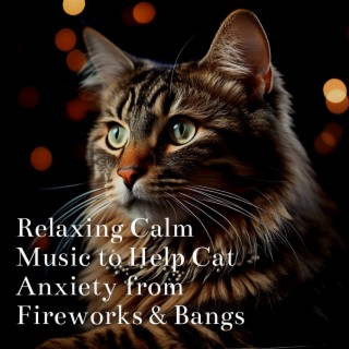 Relaxing Calm Music to Help Cat Anxiety from Fireworks & Bangs