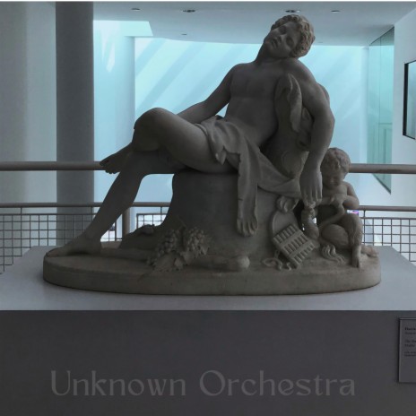 Unknown Orchestra | Boomplay Music