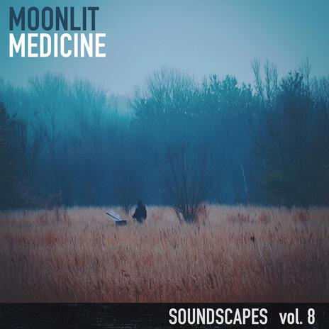 Moonlit Medicine (Soundscapes Vol.8)