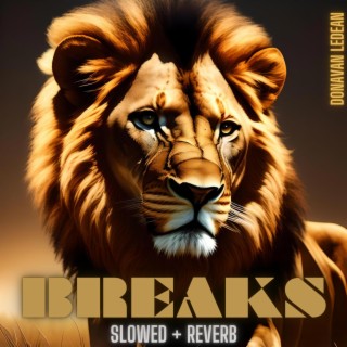 Breaks (Chillhop/Slowed + Reverb)