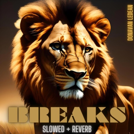 Breaks (Chillhop/Slowed + Reverb) | Boomplay Music