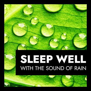 Sleep Well with the Sound of Rain