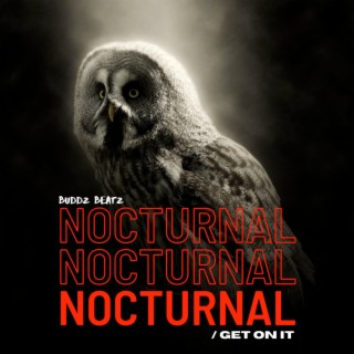 Nocturnal / Get on It