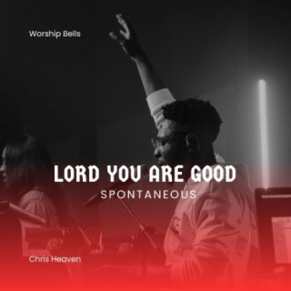 Lord You Are Good