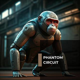 Phantom Circuit