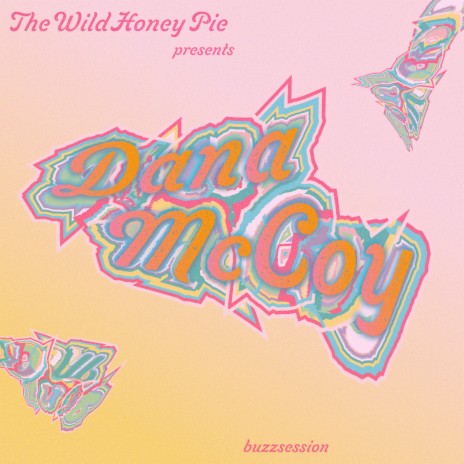 Broken Boy - The Wild Honey Pie Buzzsession | Boomplay Music