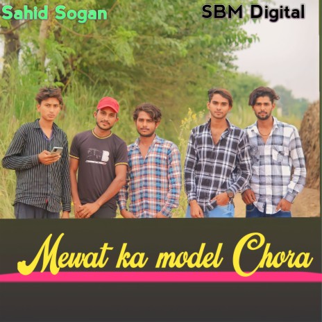 Mewat Ka Model Chora | Boomplay Music