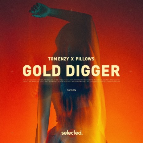 Gold Digger (Extended) ft. Pillows | Boomplay Music