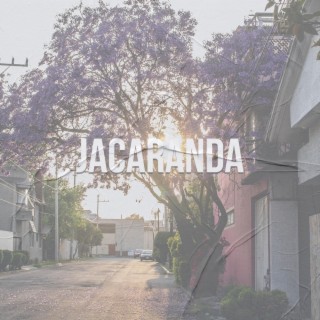 Jacaranda