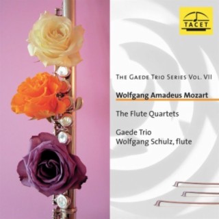 The Gaede Trio Series, Vol. 7