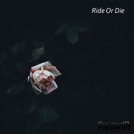 Ride Or Die | Boomplay Music