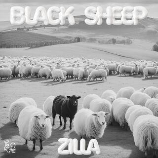 Black Sheep