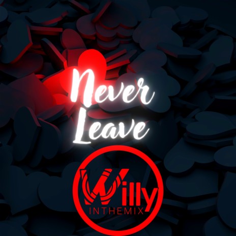 Never Leave ft. Jah Clarity | Boomplay Music