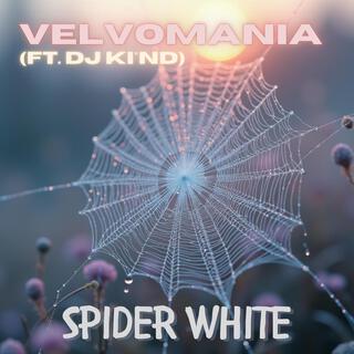 Spider White