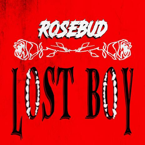 LOST BOY | Boomplay Music