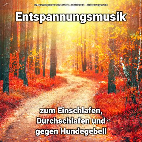 Entspannungsmusik zum Einschlafen und gegen Hundegebell Teil 59 ft. Schlafmusik & Entspannungsmusik Nino Pallen