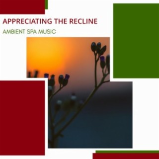 Appreciating The Recline - Ambient Spa Music