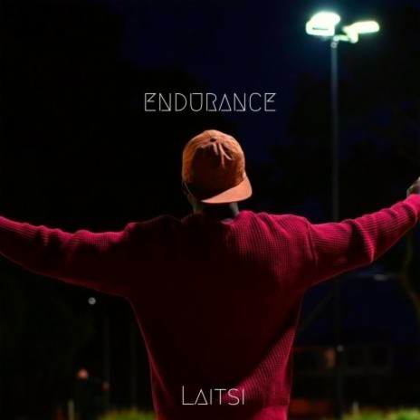 ENDURANCE (THE INTRO) | Boomplay Music