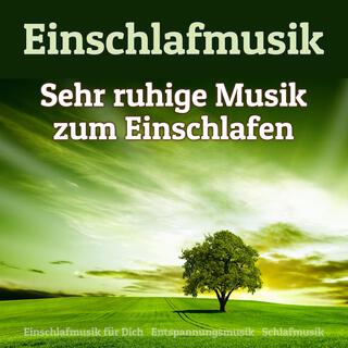 Einschlafmusik - Sehr ruhige Musik zum Einschlafen