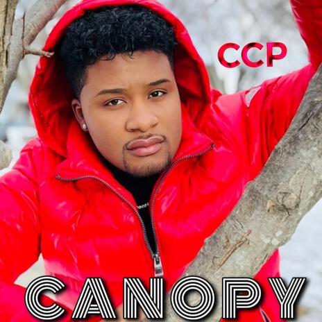 Canopy | Boomplay Music