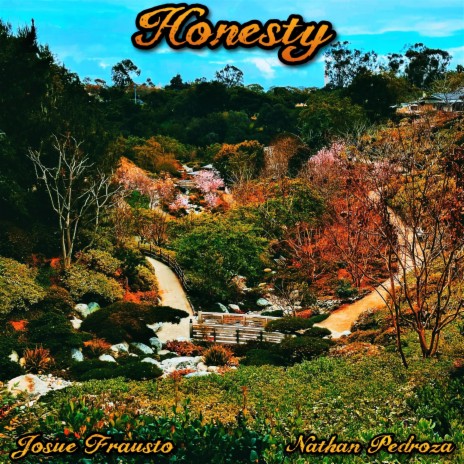 Honesty ft. Nathan Pedroza | Boomplay Music