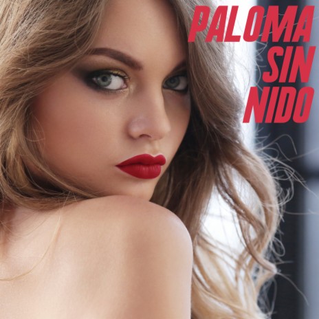 Paloma Sin Nido