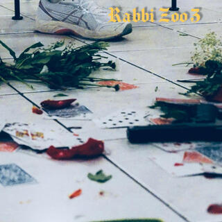 Rabbi Zoo 3 lyrics | Boomplay Music