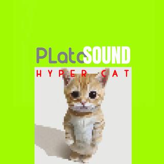 Hyper Cat