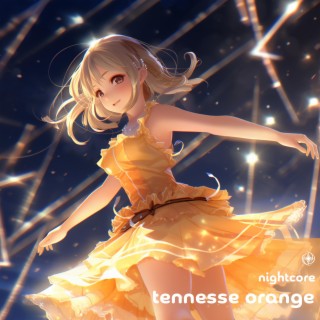 Tennesse Orange (Nightcore)