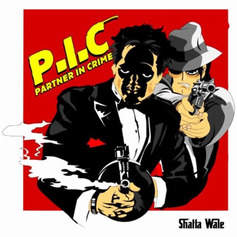 P. I. C (Partner in Crime) | Boomplay Music