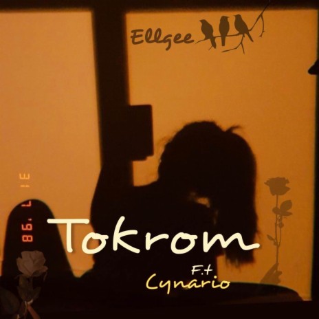 Tokrom ft. Cynario