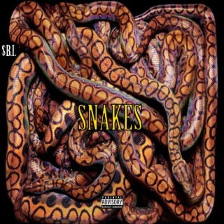 SNAKES